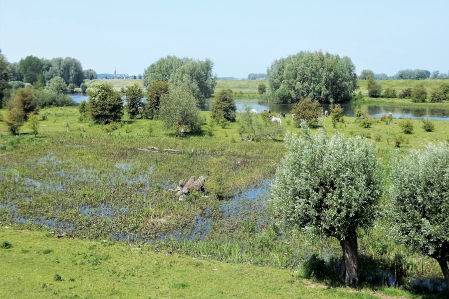 Fietsroute Land van Maas en Waal
