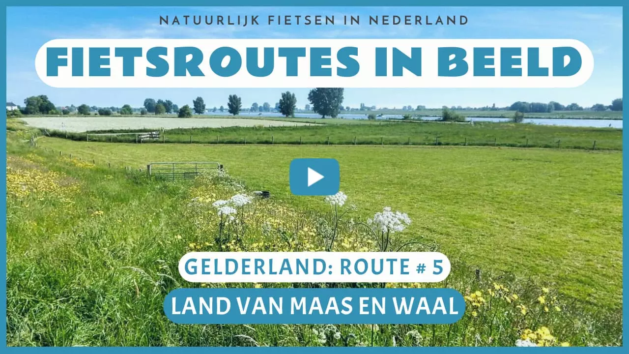 Virtueel fietsen in Land van Maas en Waal