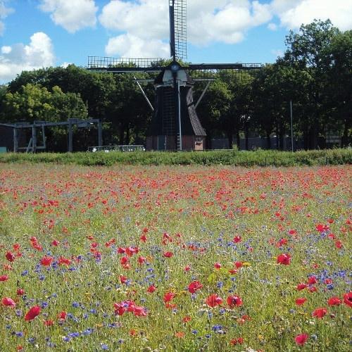 Fahrradtour Zuidlaardersee und Hondsrug