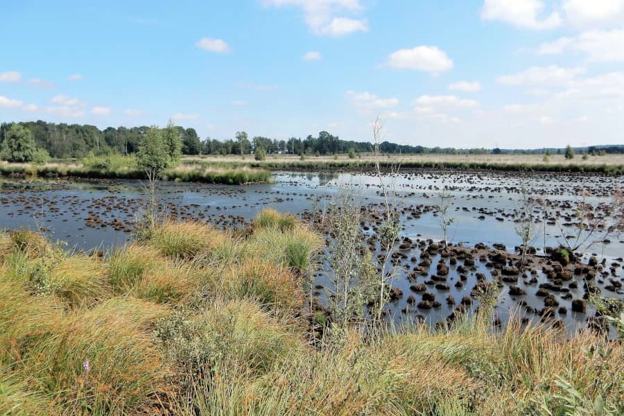 Fietsroute Nationaal Park Sallandse Heuvelrug en Wierdense Veld
