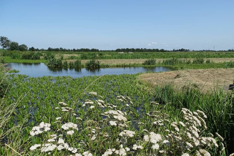 Radtour Krimpenerwaard und Reeuwijkse Plassen
