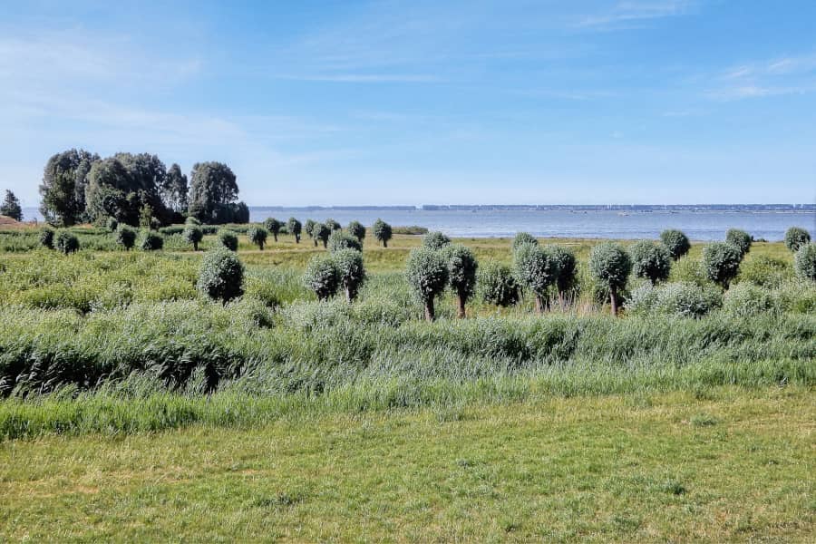 Radtour Krimpenerwaard und Reeuwijkse Plassen