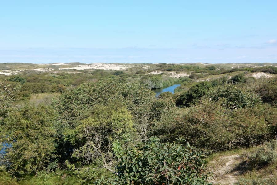 Radtour Krimpenerwaard und Reeuwijkse Plassen