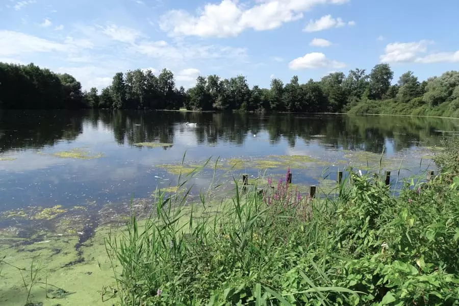 Fietsroute Salland tussen Vecht en IJssel